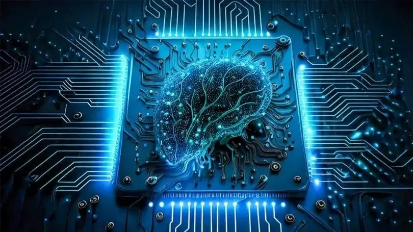 document classification using llm