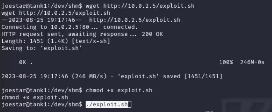 Target and Attempts to Execute